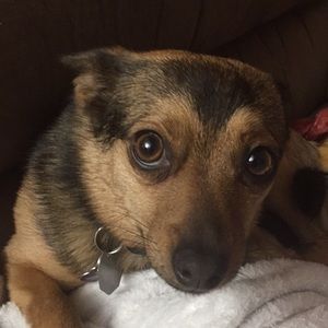 Meet your Posher, Cheryl